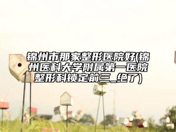 锦州市那家整形医院好(锦州医科大学附属第一医院整形科锁定前三_绝了)
