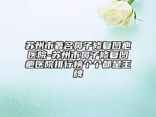 苏州市著名鼻子修复凹疤医院-苏州市鼻子修复凹疤医院排行榜个个都是王牌