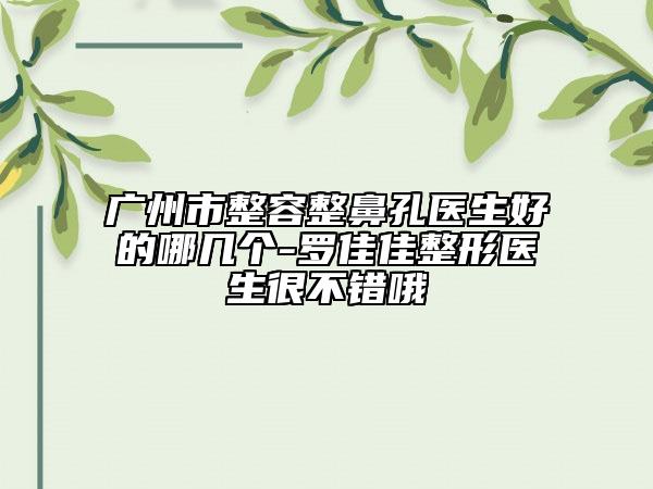 广州市整容整鼻孔医生好的哪几个-罗佳佳整形医生很不错哦