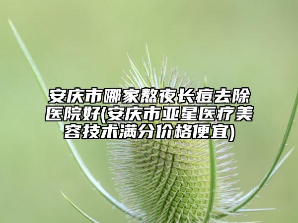 安庆市哪家熬夜长痘去除医院好(安庆市亚星医疗美容技术满分价格便宜)