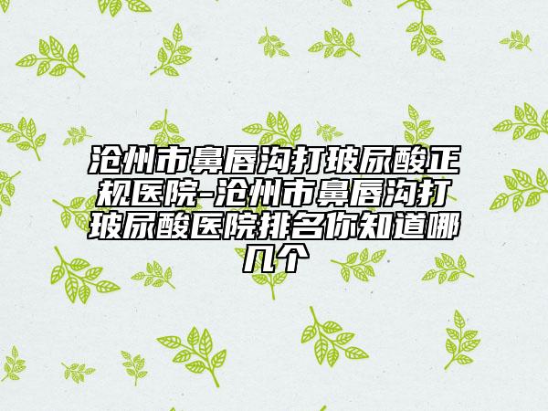 沧州市鼻唇沟打玻尿酸正规医院-沧州市鼻唇沟打玻尿酸医院排名你知道哪几个