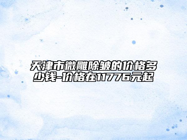 天津市微雕除皱的价格多少钱-价格在11776元起