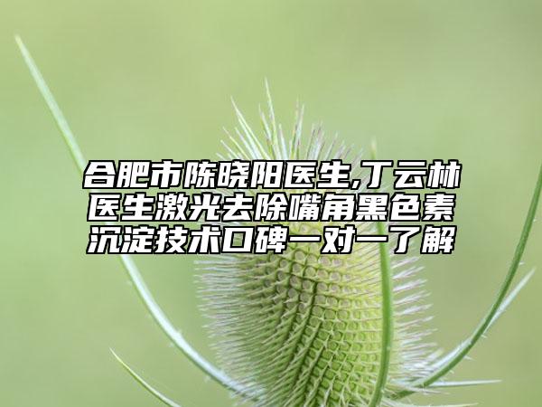 合肥市陈晓阳医生,丁云林医生激光去除嘴角黑色素沉淀技术口碑一对一了解