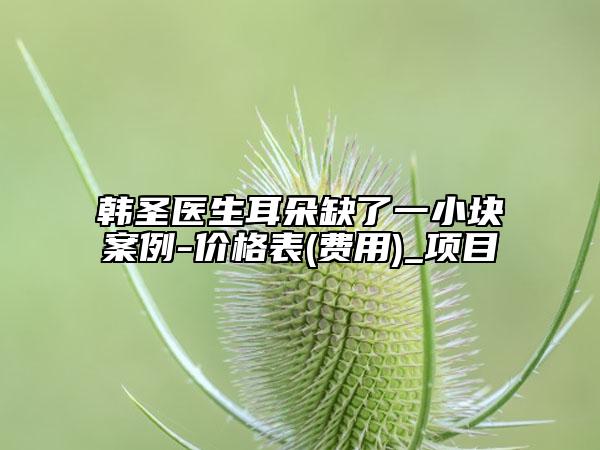 韩圣医生耳朵缺了一小块案例-价格表(费用)_项目