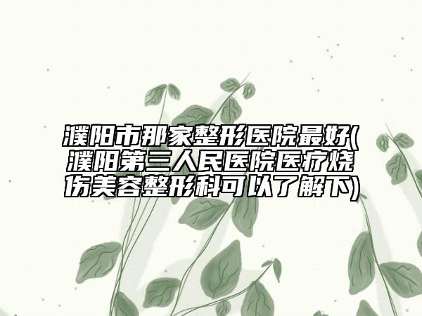 濮阳市那家整形医院最好(濮阳第三人民医院医疗烧伤美容整形科可以了解下)