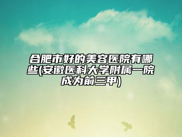 合肥市好的美容医院有哪些(安徽医科大学附属一院成为前三甲)