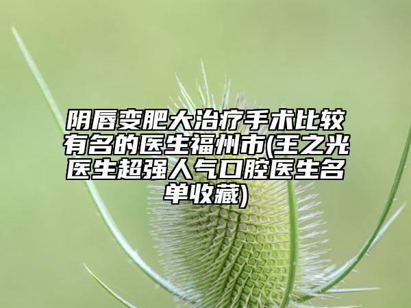 阴唇变肥大治疗手术比较有名的医生福州市(王之光医生超强人气口腔医生名单收藏)