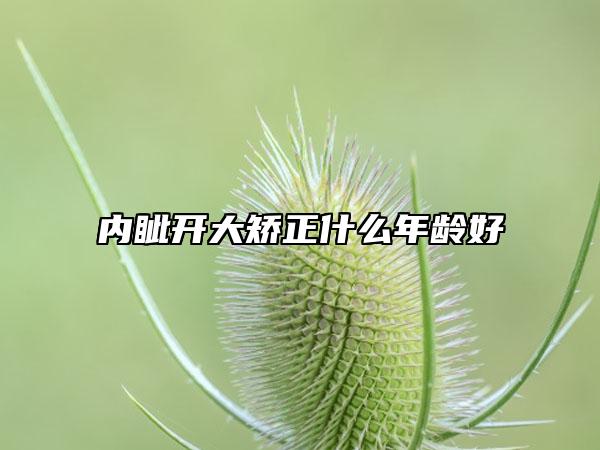 内眦开大矫正什么年龄好