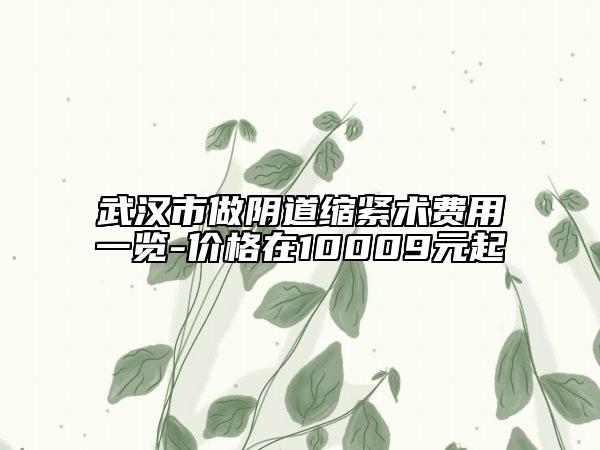 武汉市做阴道缩紧术费用一览-价格在10009元起
