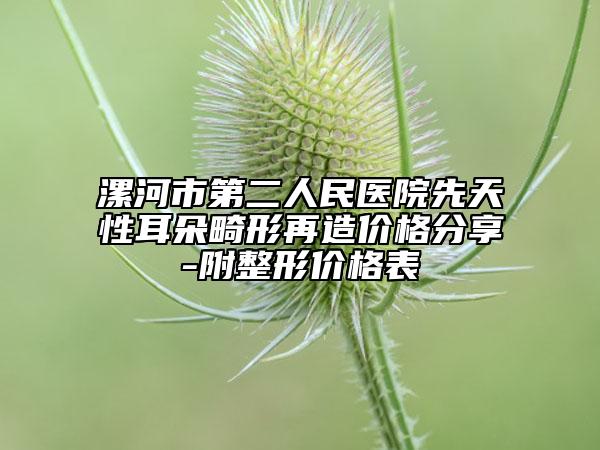 漯河市第二人民医院先天性耳朵畸形再造价格分享-附整形价格表