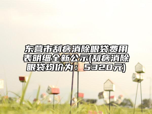 东营市刮痧消除眼袋费用表明细全新公示(刮痧消除眼袋均价为：5320元)