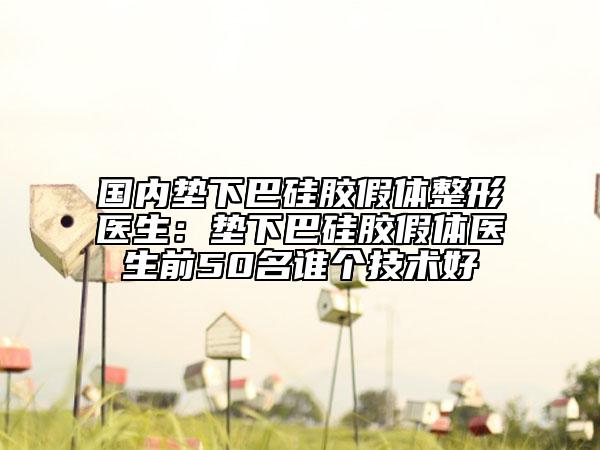 国内垫下巴硅胶假体整形医生：垫下巴硅胶假体医生前50名谁个技术好