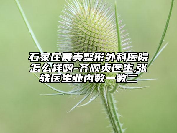 石家庄晨美整形外科医院怎么样啊-齐顺贞医生,张轶医生业内数一数二