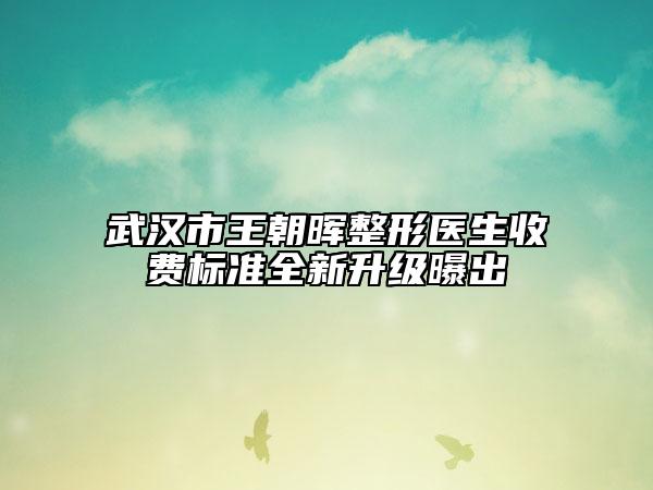 武汉市王朝晖整形医生收费标准全新升级曝出