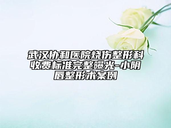 武汉协和医院烧伤整形科收费标准完整曝光-小阴唇整形术案例