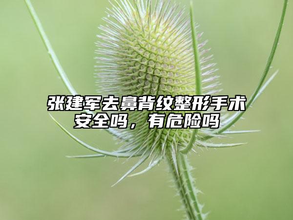 张建军去鼻背纹整形手术安全吗，有危险吗