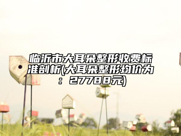 临沂市大耳朵整形收费标准剖析(大耳朵整形均价为：27788元)
