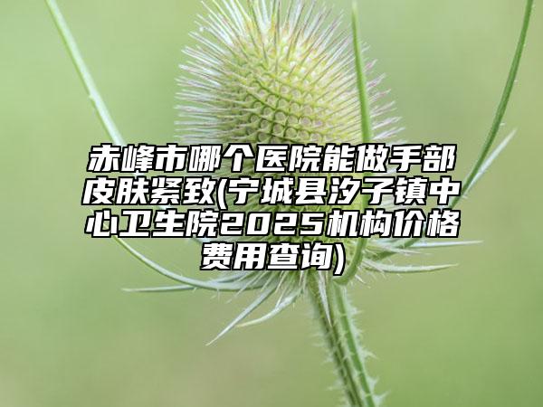 赤峰市哪个医院能做手部皮肤紧致(宁城县汐子镇中心卫生院2025机构价格费用查询)